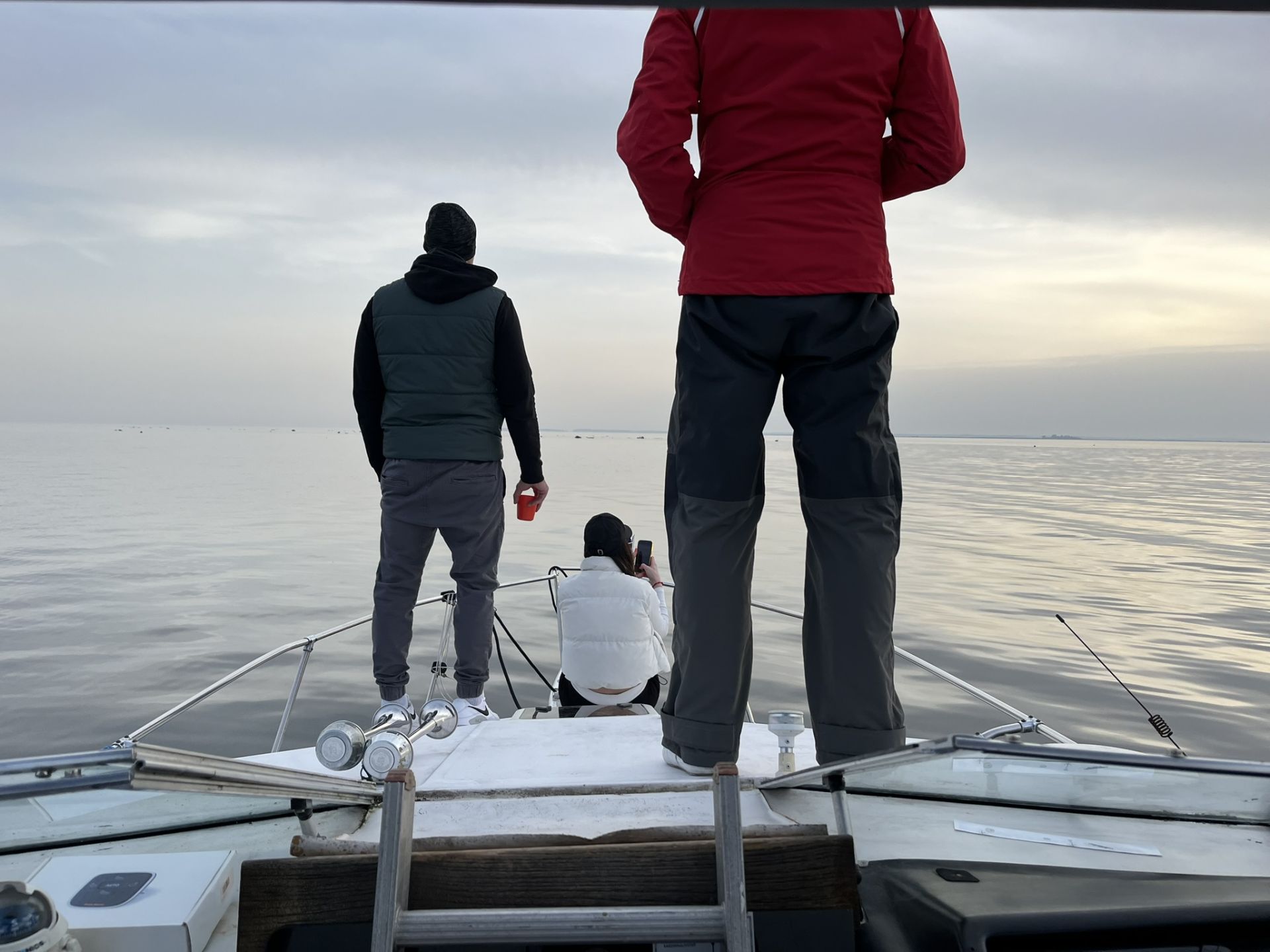 Konsultatsioon. Eesti. Must OÜ